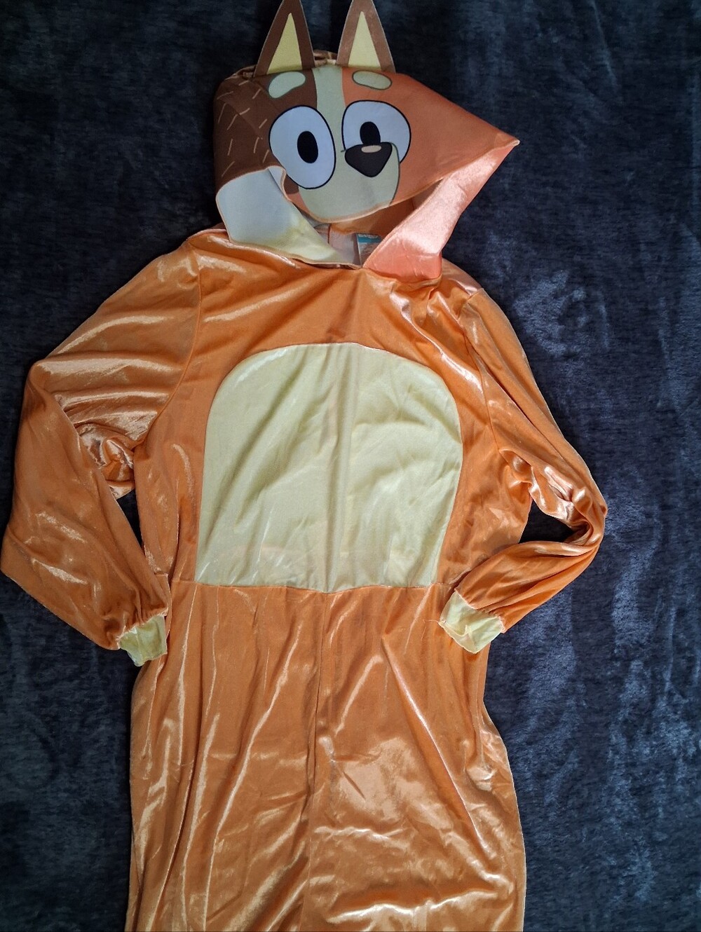 Chilli Halloween/Dress Up Costume Disney's Bluey Adult Size M